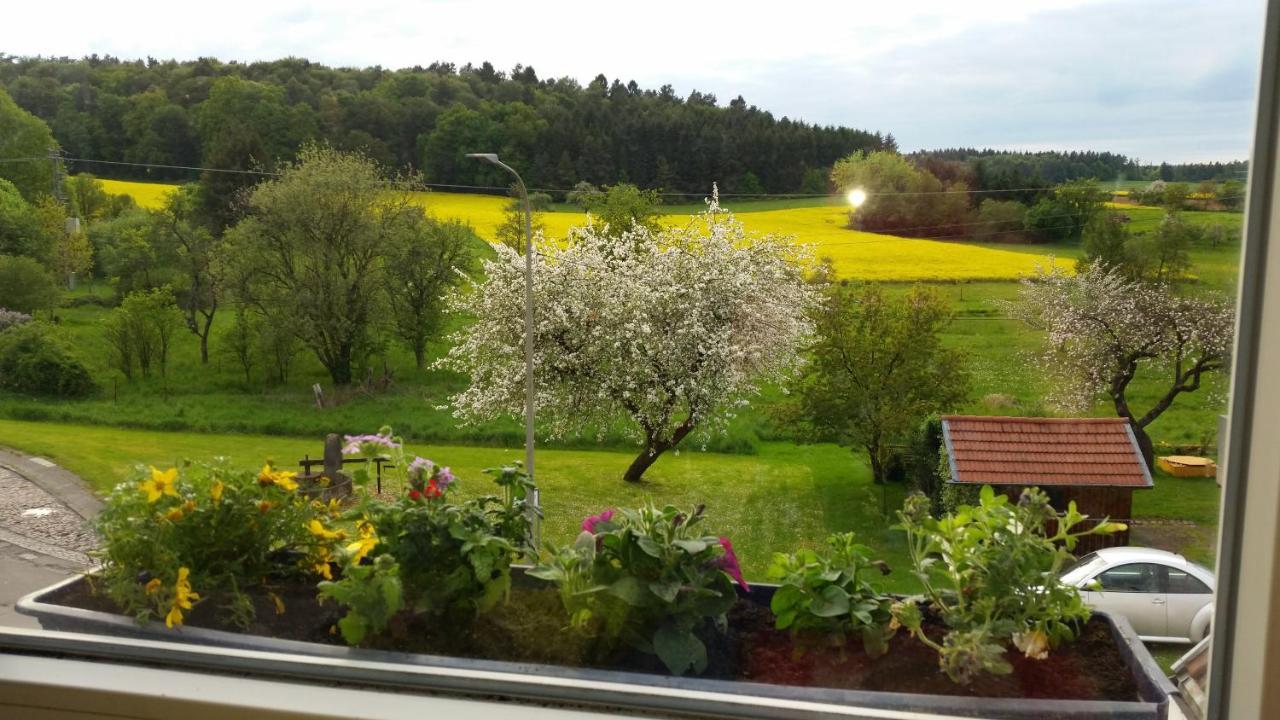 Haus Kunterbunt Daire Mehlingen Dış mekan fotoğraf